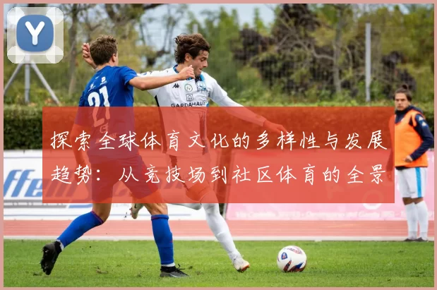 探索全球体育文化的多样性与发展趋势：从竞技场到社区体育的全景分析