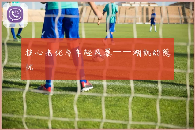 核心老化与年轻风暴——湖凯的隐忧