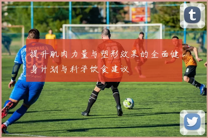 提升肌肉力量与塑形效果的全面健身计划与科学饮食建议