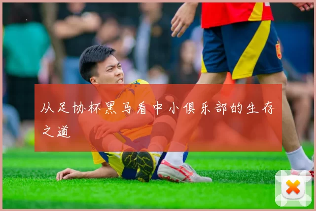 从足协杯黑马看中小俱乐部的生存之道