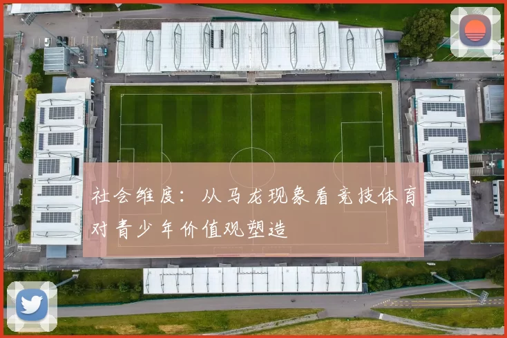 社会维度：从马龙现象看竞技体育对青少年价值观塑造