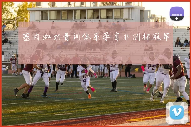 塞内加尔青训体系孕育非洲杯冠军
