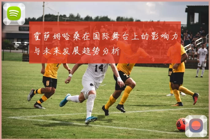 霍萨姆哈桑在国际舞台上的影响力与未来发展趋势分析