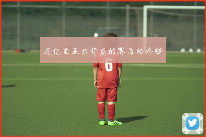 万亿里亚尔背后的赛马经济链