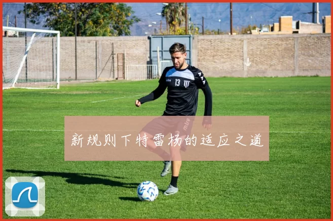 新规则下特雷杨的适应之道