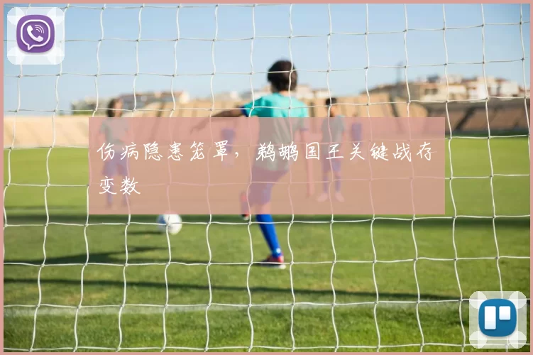 伤病隐患笼罩，鹈鹕国王关键战存变数