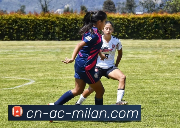 从热血赛场到团队精神探秘篮球运动背后的激情与智慧